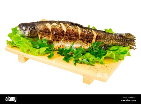 Roasted Striped Sea Bass Stock Photo Alamy