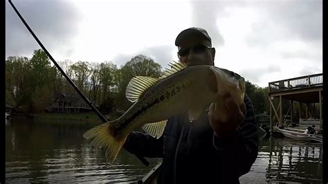 Pre Spawn Bass Fishing Lake Norman NC Apr 2021 YouTube