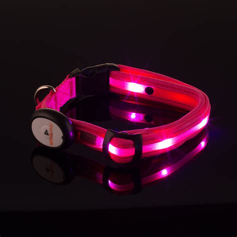 Nite Beams Led Lighted Dog Collar Keep Doggie Safe