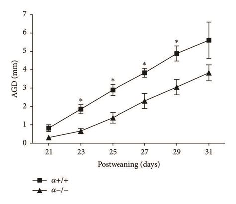 Delayed Puberty Onset In Male α−− Mice Ap2 Crep110αflxflx Are