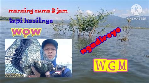 Nyobok WGM Terkini Cukup Satu Titik Full Strike Ikan Nila YouTube