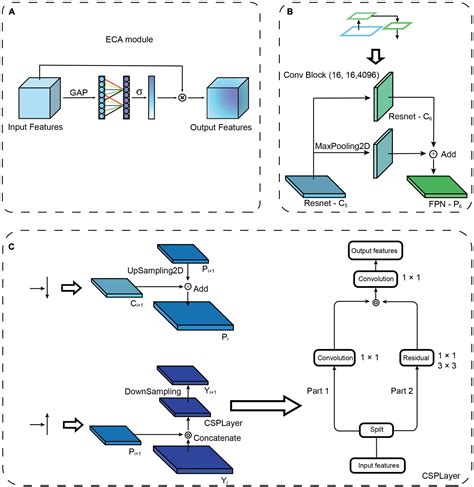 Frontiers Neuroseg Ii A Deep Learning Approach For Generalized