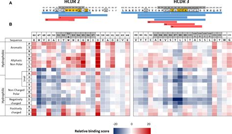 Frontiers Combining Deep Mutational Scanning To Heatmap Of Hla Class