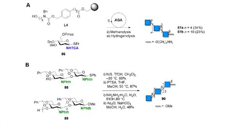 Scheme A Aga Of N Acetylglucosamine Hexasaccharide And