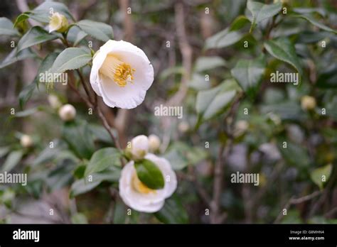 Shilin District Taipei City Taiwan Stock Photo Alamy