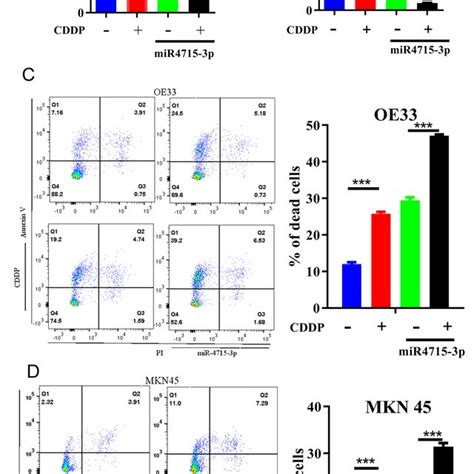 MiR 4715 3p Overexpression Increased Sensitivity To Cisplatin ATP Glo