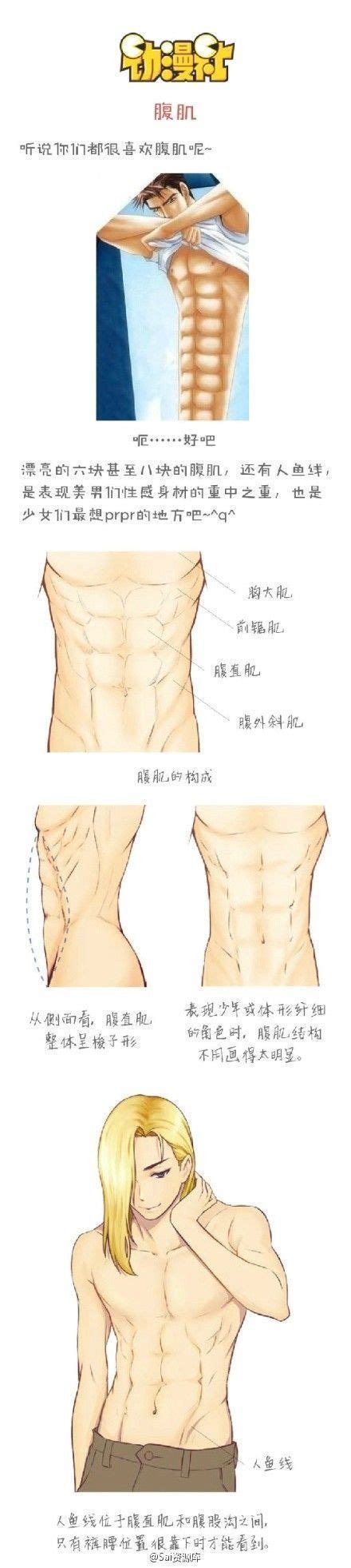 Six Pack Drawing Reference - Sixpack Drawings | Bodbocwasuon