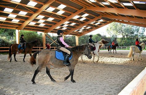 Stage D Quitation Intensif Enfant En Bretagne Pour Les Ans