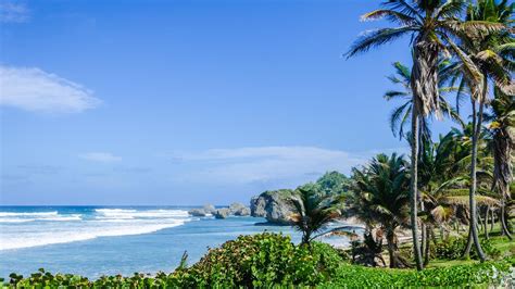 Bathsheba Travel Guide | Bathsheba Tourism - KAYAK