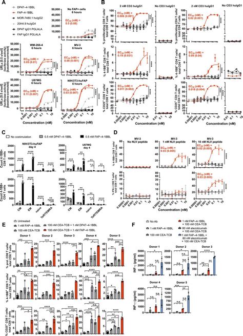 Tumor Targeted Bb Agonists For Combination With T Cell Bispecific