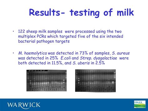 Ppt Development And Use Of A Multiplex Pcr To Detect Common Mastitis