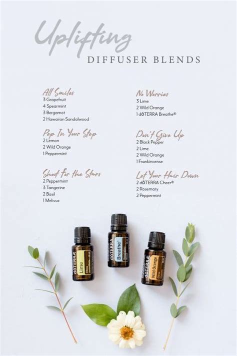 Doterra Uplifting Diffuser Blends Best Essential Oils Diffuser