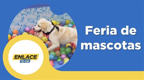 Expopet 2023 la feria del cuidado de mascotas más grande del país