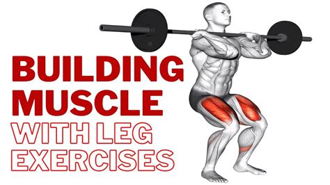 10 Best Leg Exercises for Building Muscle | by Saterdely | Medium