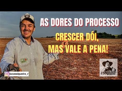 As Dores Do Processo Crescer D I Mas Vale A Pena Youtube