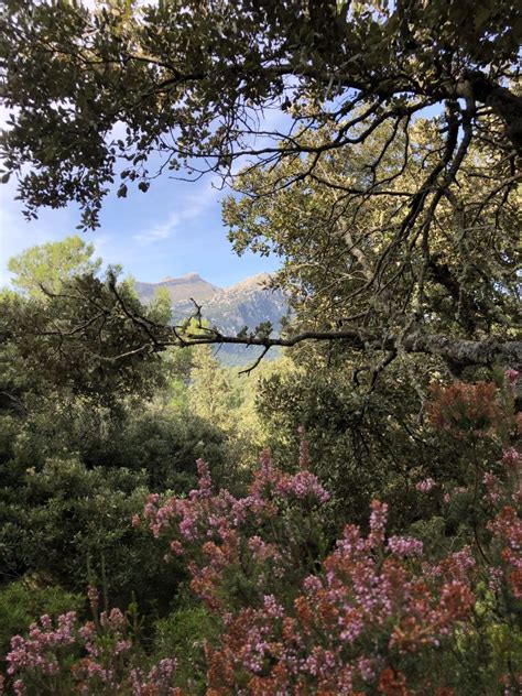 Per la Serra de Tramuntana a Binifaldó i Menut Fora Vila