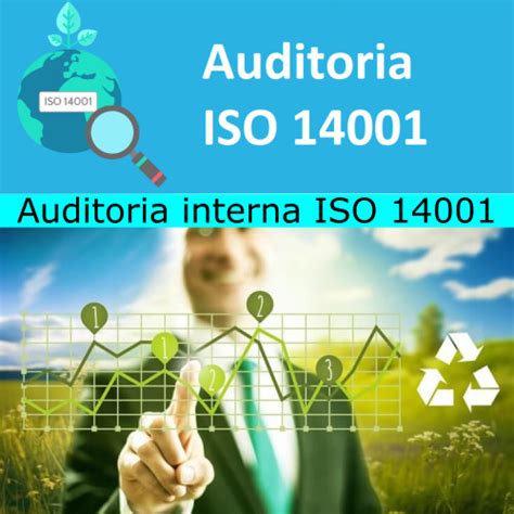 Auditoria Interna Iso 14001 Plan Informe Ambiental 2024