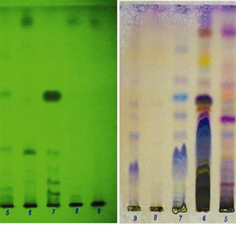 Hptlc Fingerprint Profiles Of Methanolic Extracts Of Laghugangadhar