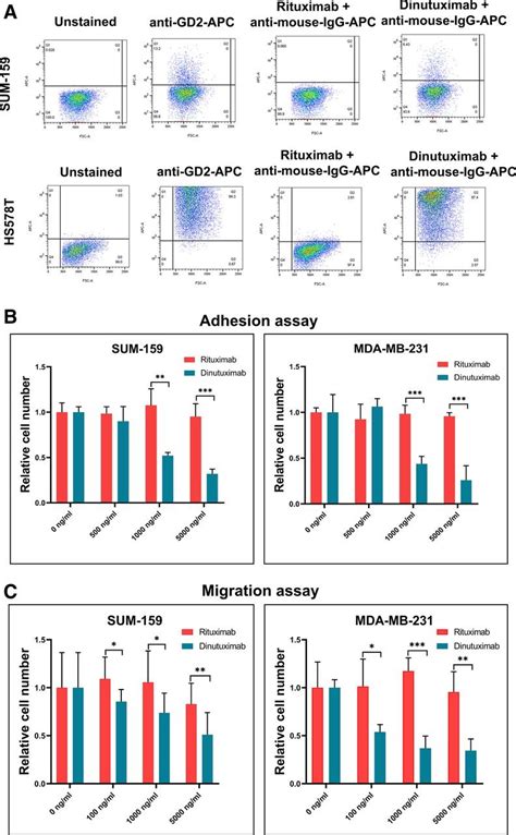 Dinutuximab Targets Gd Stem Cells In Tnbc Cell Lines And Inhibits