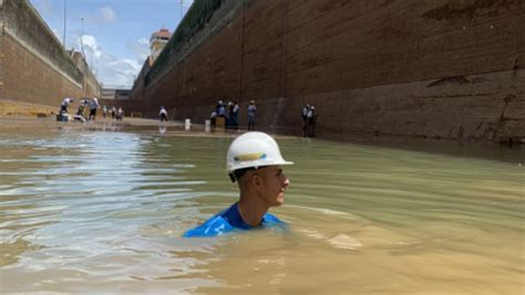 Aumenta La Invasión De Peces Tras Ampliaciones Del Canal De Panamá Y De