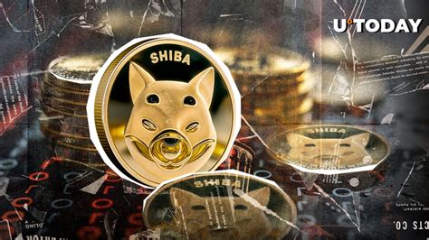 1 99 Trillion SHIB In 24 Hours Why Are Shiba Inu Whales Staying Put