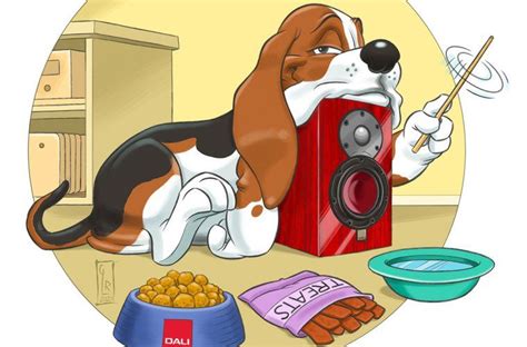 How to make 12vdc microphone ne5532p with echo pt2399 circuit – www