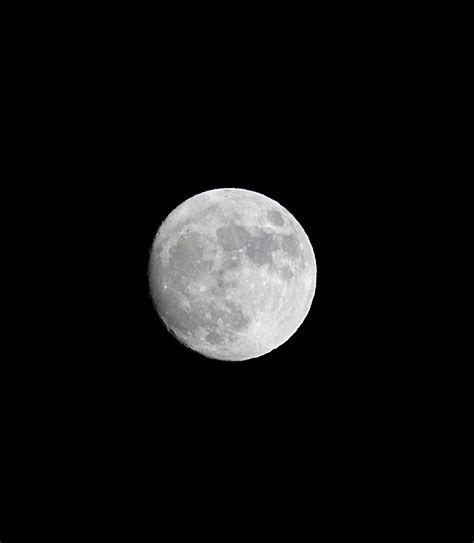 Fotos Gratis En Blanco Y Negro Noche Atmósfera Oscuridad Luna