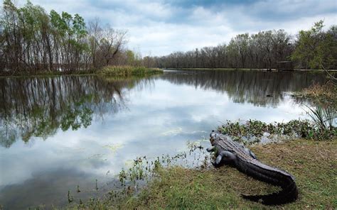 Our 20 Favorite Texas State Parks – Texas Monthly