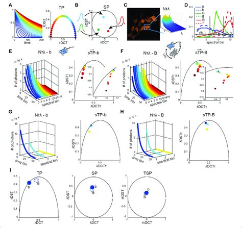 Reference Spectrally Resolved Fingerprint A Diagrammatic