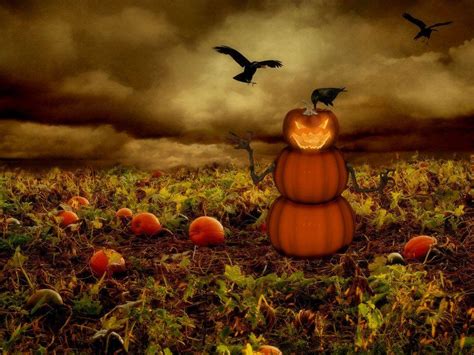 Pumpkin Patch Wallpapers - Wallpaper Cave