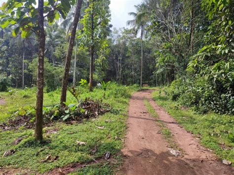 Land For Sale SreeKrishnapuram Palakkad Housefind