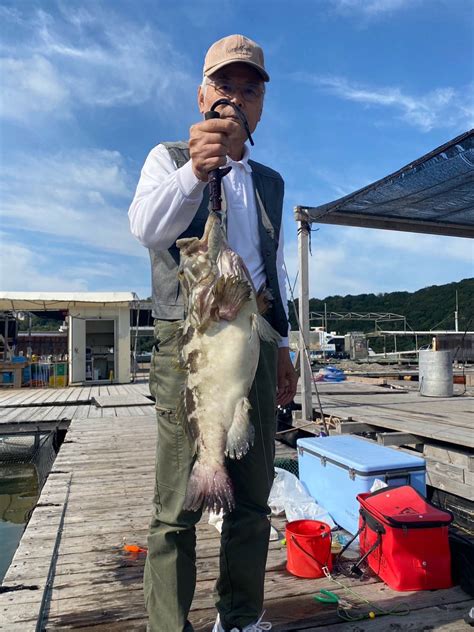 クエ釣れています！！！ 釣り堀 海恵 専務