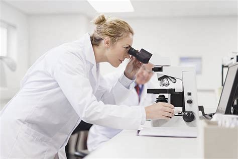 Top 60 Pathology Lab Stock Photos, Pictures, and Images - iStock