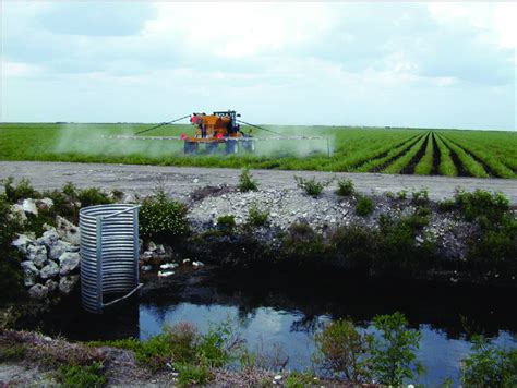 Fertilizer Application On Sugarcane Image Courtesy Mabry McCray