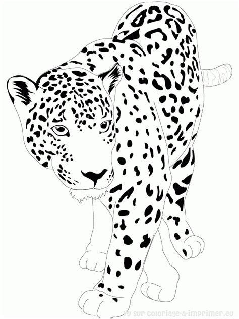 Modeste Coloriage Jaguar Photos Coloriage