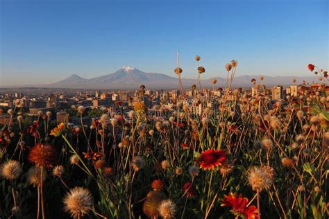 Yerevan with Ararat stock image. Image of capital, asia - 20971777