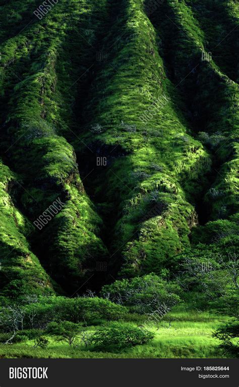 Lush Green Mountain Image And Photo Free Trial Bigstock