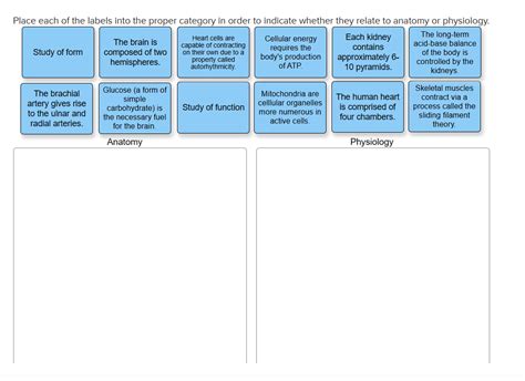 Solved Place Each Of The Labels Into The Proper Category In