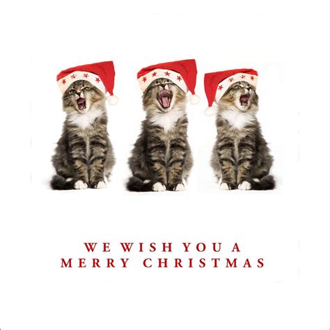 10 Funny Cat Christmas Cards | Funny cat christmas cards, Cat christmas ...