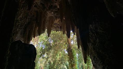 Grutas And Fishes At Parque Lage Discover Rio With Rio Learn