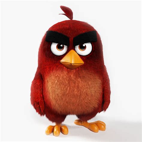 Angry Bird Red 3D asset | CGTrader