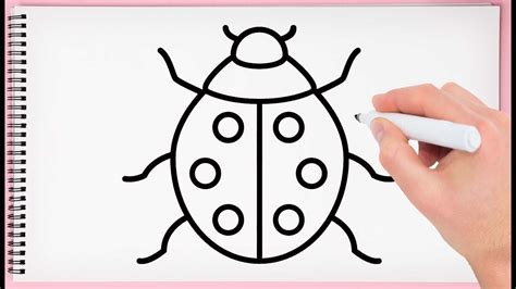 How To Draw A Ladybug Step By Step Drawing Ladybug Very Easy And Simple