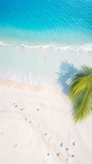 Premium AI Image | A beach with white sand and a palm tree