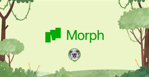 Morph L Testnet Airdrop Guide Airdroplet