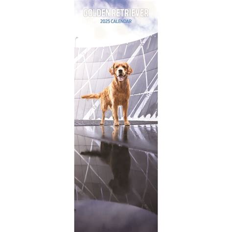 Golden Retriever Kalender Slimline Kopen Bestel Eenvoudig Online