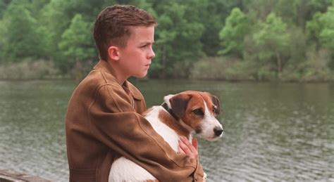 Top Meilleurs Films Avec Des Chiens