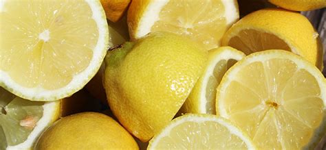 Lemon - The Hot New Miracle Ingredient - Health & Wellness - Spec ...