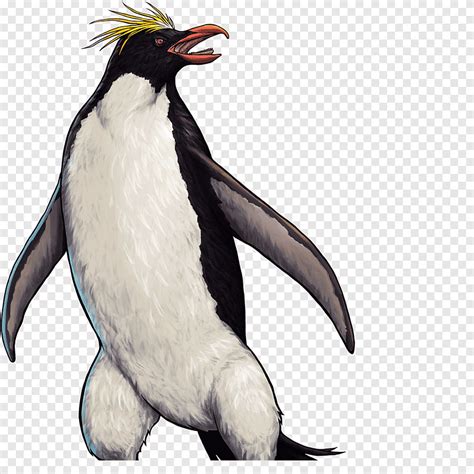 Rey Ping Ino Rockhopper Aleta Ping Ino Del Sur Ping Inos Ant Rticos