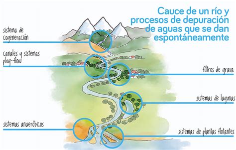 Depuración ecológica del agua EcoHabitar