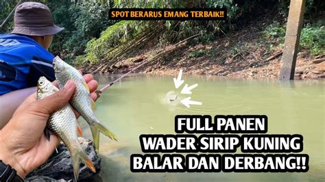 Ora Umum Panen Putihan Di Spot Berarus Mancing Wader Atau Putihan